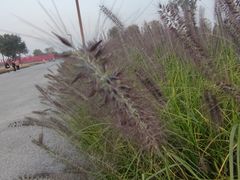 -汉长安城未央宫国家考古遗址公园