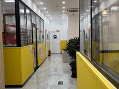-瑞派·爱瑞可动物医院·口腔专科(广华新城分院)
