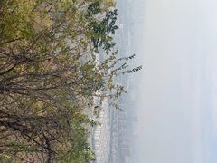 -南京市江宁方山