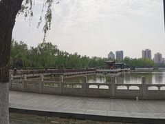 -莲花池公园