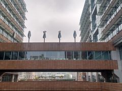 -香港大学