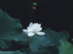 -龙头寺公园