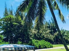 -海南清水湾莱佛士酒店