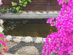 -浔岚云舍mist静谧观景美宿(丽江古城店)