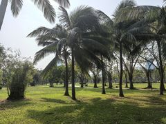 -万绿园