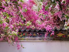 -深圳国际园林花卉博览园