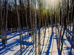 -北极村旅游风景区