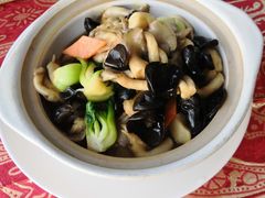 -云中小雅
