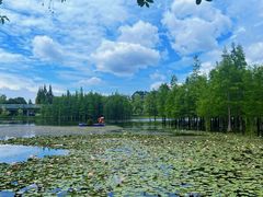 -白鹭湾湿地公园