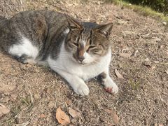 -中国计量大学(西校区)