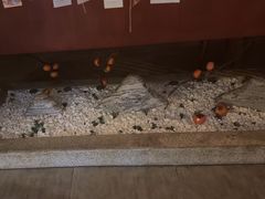 -端艾堂·SPA·艾灸(鸳鸯006店)
