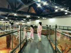 -南越王博物院(王宫展区)
