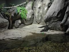 -苏州海洋馆