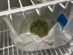 -猫里有甜