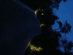 林间小道-三亚亚龙湾人间天堂鸟巢度假村