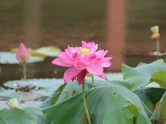 -黄兴公园