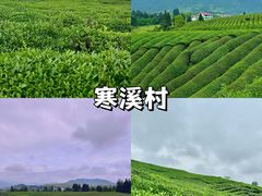 -景德镇中国陶瓷博物馆