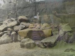 -广州长隆飞鸟乐园