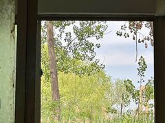 -微山湖红荷湿地景区