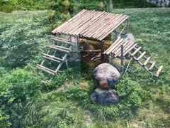 -泉州海丝野生动物世界