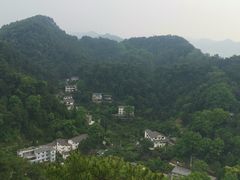 -大金鹰园