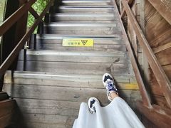 -西双版纳原始森林公园