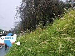 -安蒂娅美兰酒店