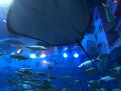 -华夏文旅海洋公园