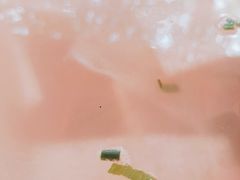 -范饭椰林川湘味海鲜·椰子鸡(三亚湾椰梦长廊店)