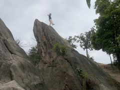 -南山植物园