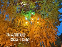 -四川大学(华西校区)