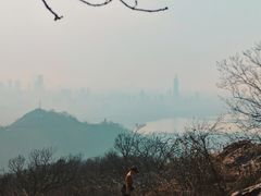 -紫金山山顶公园