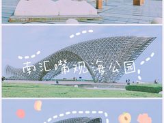 -南汇嘴观海公园