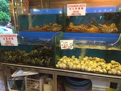 -真浪花园海鲜餐馆