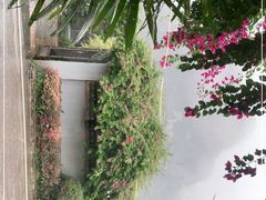 -生态苑农庄(十里画廊遇龙河店)