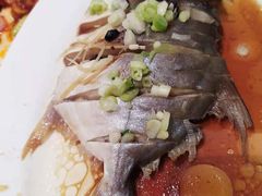 -稻香酒家·35年老字号(侨光店)