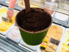 -Dooley's Premium Ice Cream