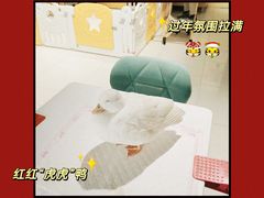 -RU DUCK柯尔鸭公社·撸鸭俱乐部·羊驼·小香猪