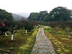 -白马涧龙池景区