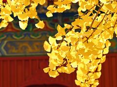-承恩寺