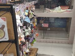 -FAELING PETS美天灵宠物(富力广场店)