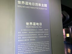 -中国湿地博物馆