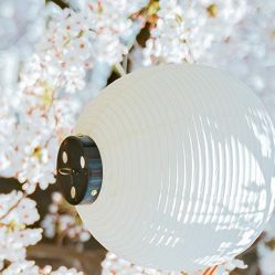 -凡碧诗毛孔收细