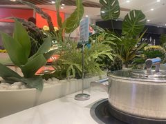-椰客·海南椰子鸡(新塘永旺梦乐城店)