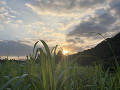 -八卦田遗址公园