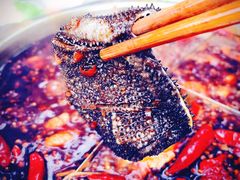 -枇杷园食为鲜火锅(南山店)