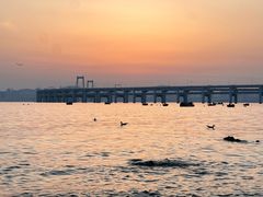 -锅贴王海鲜小馆