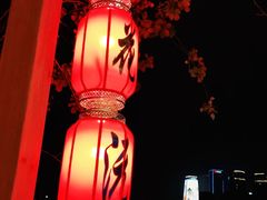 -桃花沅火锅(长嘉汇江景店)
