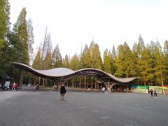 -东平国家森林公园