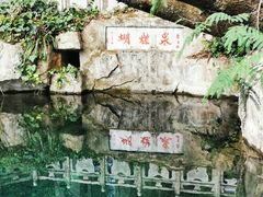 -蝴蝶泉公园